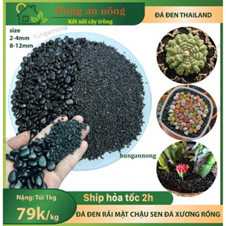 Túi 1kg - Đá đen Thailand chuyên rải mặt chậu sen đá xương rồng cây cảnh ( xem trong mô tả )