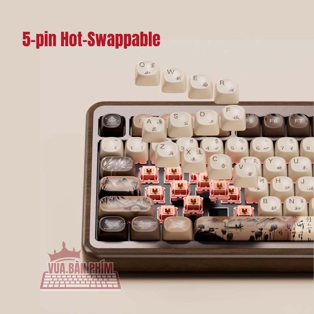 [Hàng Sẵn] Bàn phím cơ không dây Akko Mu02 | mu02 mạch xuôi ,3 mode, case gỗ óc chó, led rgb, hostswap , gasket mount | BigBuy360 - bigbuy360.vn