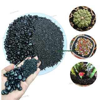 Túi 1kg - Đá đen Thailand chuyên rải mặt chậu sen đá xương rồng cây cảnh ( xem trong mô tả )