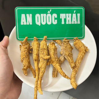 200g Tây Dương Sâm Nguyên Củ Vàng Đẹp (Sâm Canada, Nhân Sâm Hoa Kỳ)