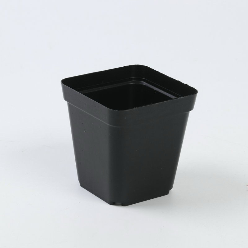 Chậu nhựa size 7x7 vuông đen