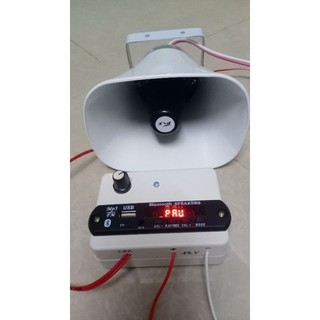 Loa bán hàng rong 12v