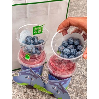 Mứt Việt Quất Boduo (1.3kg)