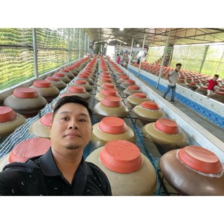 Rượu đòng đòng hạ thổ | chai 500ml