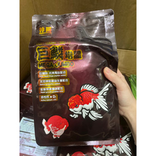 [ĐẠM 45%] 1KG Thức ăn Cám MEGA JUMBO đạm 45% thức ăn quốc dân dành cho cá vàng bơm size body cực tốt