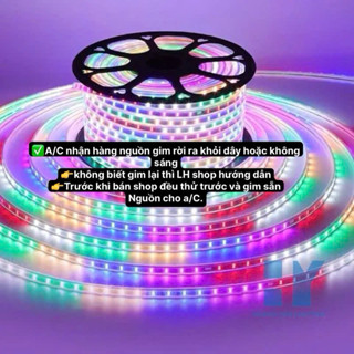 30M Dây Led Nháy Đuổi CHIP 2835 Tặng kèm nguồn trang trí tết trang trí noel chống nước ngoài trời