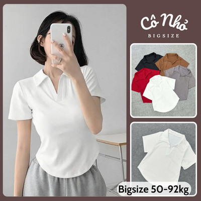 Áo Thun Bigsize Nữ Áo Polo Cổ Bẻ Vải Tăm Lạnh Phong Cách Basic Cho Chubby 50-95kg G178