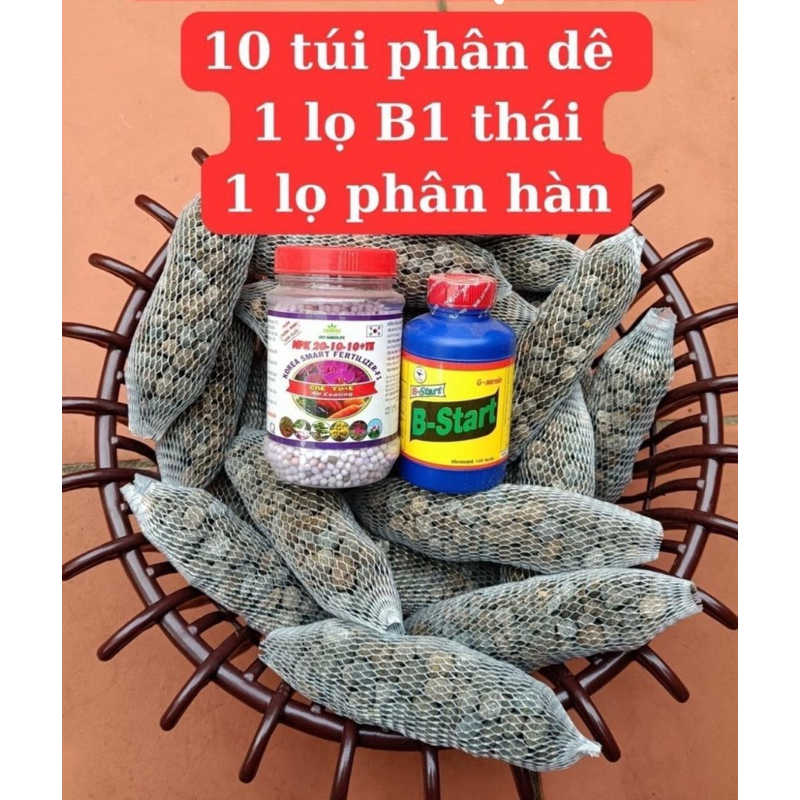Combo 10 túi phân dê 10cm - phân hàn  20/10/10- b1 thái 100ml