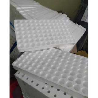 1 Khay xốp ươm hạt 84 lỗ