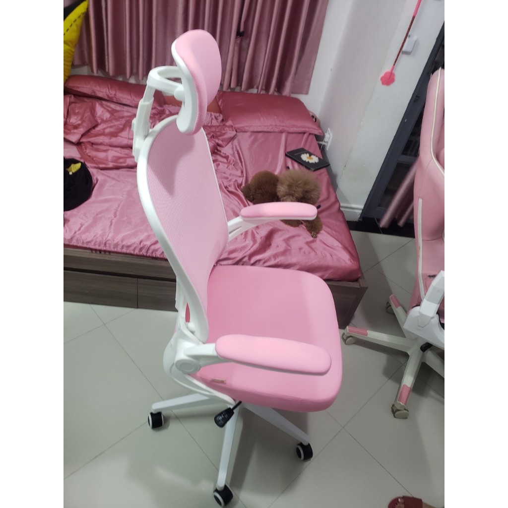 [Hỏa Tốc][Giảm 100k] Ghế Công Thái Học Manson Regal Chuẩn Ergonomic, Ghế Văn Phòng Bảo Vệ Cột Sống Giảm Đau Vai Gáy | BigBuy360 - bigbuy360.vn