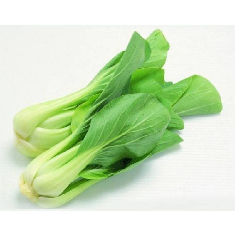 20Gr Hạt Giống Cải Thìa (A1.206| W12*X41*M037)