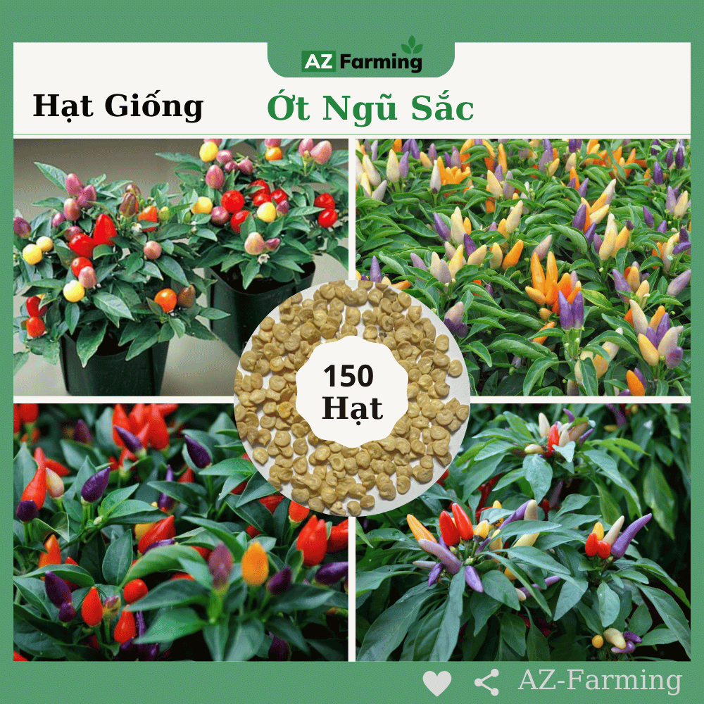 Hạt Giống Ớt Ngũ Sắc - Gói 150 Hạt - AZ farming