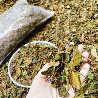 [Nhà làm] Chè vằng sẻ Nghệ An, lợi sữa, chống tắc sữa, giảm béo và mỡ máu, giảm cân, detox cơ thể