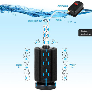 Lọc Sủi Bio Vi Sinh Mini Xy933