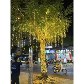 Dây led đúc cuốn cây f5 điện 12v, phi 5 đế 8, dài 3m, gồm 50 mắt, đủ màu, trang trí ngoài trời