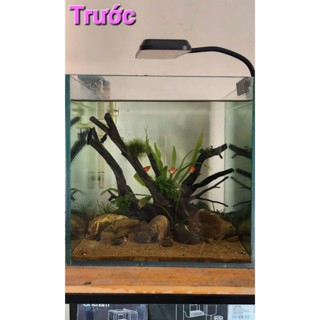 Đèn thủy sinh Deyao CF 02 13w