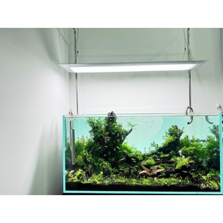 CỐT NỀN TROPICA SUBSTRATE 5LIT (6KG) cung cấp đầy đủ dinh dưỡng cho bể thủy sinh, cá cảnh