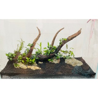 CỐT NỀN TROPICA SUBSTRATE 5LIT (6KG) cung cấp đầy đủ dinh dưỡng cho bể thủy sinh, cá cảnh
