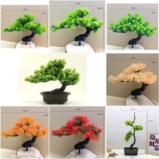 Chậu Cây Tùng Bonsai Bằng Nhựa Trang Trí Tiểu Cảnh, Trang Trí Kèm Các Mẫu Tượng Mini