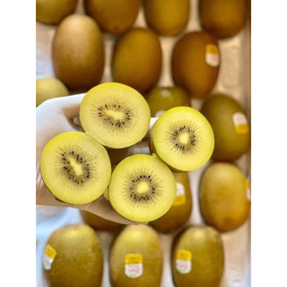 KIWI VÀNG NEWZEALAND 💥💥 [1Kg]
