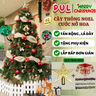 [XMAS] Cây thông noel 1M5->3M6 CƯỚC NỞ HOA gắn trái đỏ và trái thông Trang Trí Công Ty , Khách Sạn