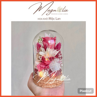 Chụp thuỷ tinh hoa hồng vĩnh cửu (trụ mini), quà tặng sinh nhật, decor trang trí để bàn đẹp