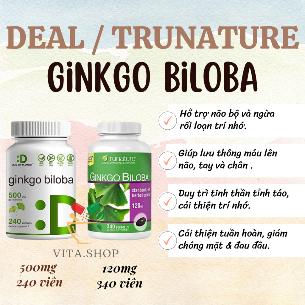 Deal Supplement Ginkgo Biloba 500mg - Viên uống bổ não, hỗ trợ trí nhớ và sự tập trung 240 viên