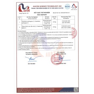 Trà dây thìa canh hỗ trợ trị tiểu đường ổn định đường huyết
