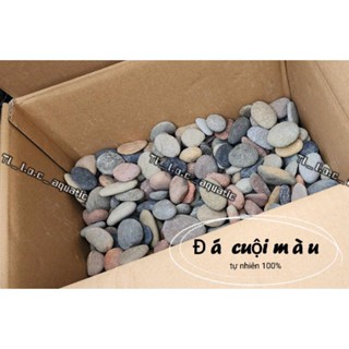 1Kg-(LOẠI ĐẸP)- ĐÁ CUỘI NHIỀU MÀU TRANG TRÍ BỂ CÁ, TRANG TRÍ THỦY SINH, TIỂU CẢNH, SÂN VƯỜN,...