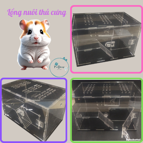 Hộp mica nuôi chuột hamter, hộp nhện, lồng chuột hamter, hộp nuôi thú cưng các cỡ