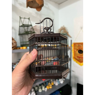 Lồng chim mini mẫu lục giác cho chim hút mật, sâu, khuyên, ốc mít thuần bổi