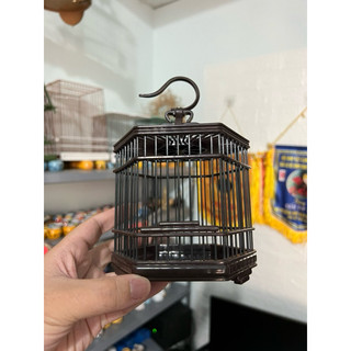 Lồng chim mini mẫu lục giác cho chim hút mật, sâu, khuyên, ốc mít thuần bổi