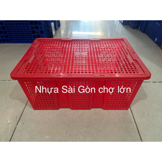  Sóng trái cây HS036-SH Long Thành  60*40*26 cm  