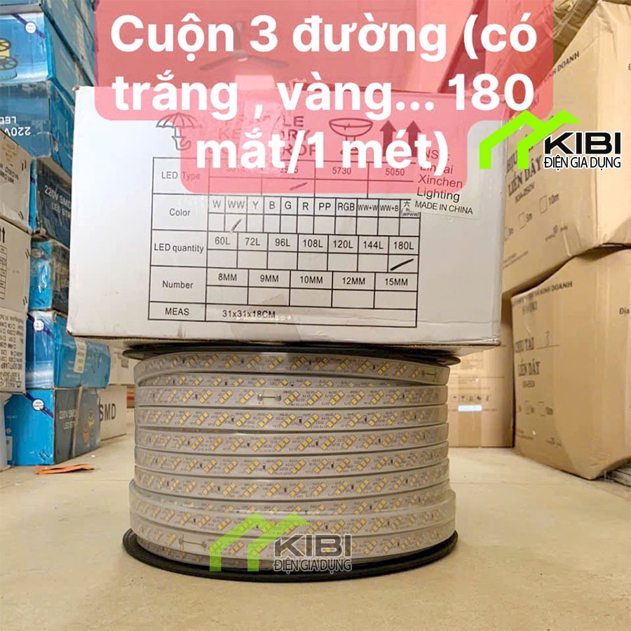 Cuộn nháy led 100m, dây led nháy đuổi nhiều màu, đèn trang trí tết