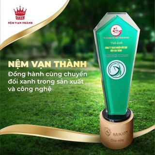 Nệm Cao Su Standard Vạn Thành, Mềm Mại Êm Ái, Nâng Đỡ Cột Sống Tối Ưu, Bảo Hành 12 Năm