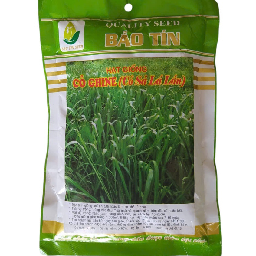 Hạt Giống Cỏ Sả lá lớn (100g)