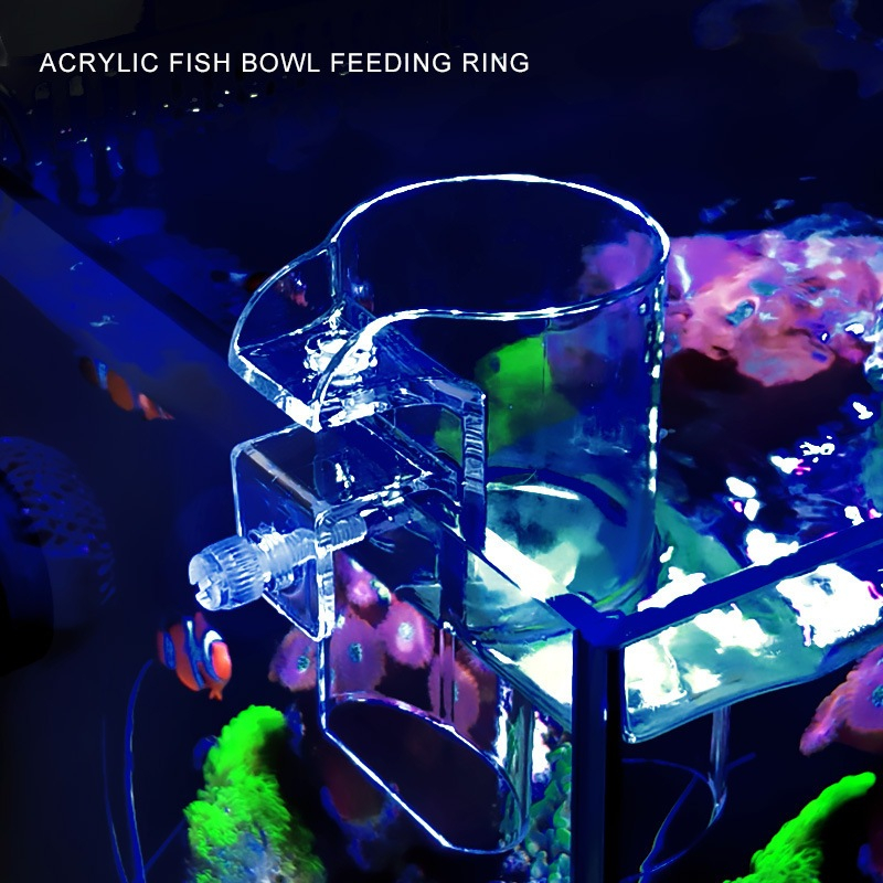 Ống cho cá ăn Acrylic Fish Bowl Feeding Ring - Vòng cho cá ăn chất liệu Acrylic