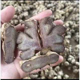 compo 10Kg-GỪNG ĐEN nhạt ( nga.i đen,nga.i tím)Đào Rừng già đanh