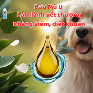 Dầu tắm chó mèo Plotoon Chlorhexidine - Giải quyết các vấn đề về da