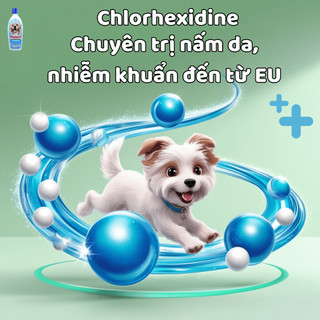 Dầu tắm chó mèo Plotoon Chlorhexidine - Giải quyết các vấn đề về da