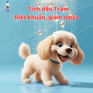 Dầu tắm chó mèo Plotoon Chlorhexidine - Giải quyết các vấn đề về da