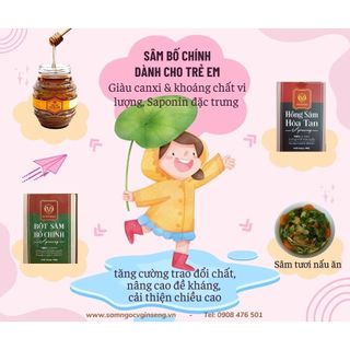 Bột Hồng sâm hòa tan V-Ginseng 100gr