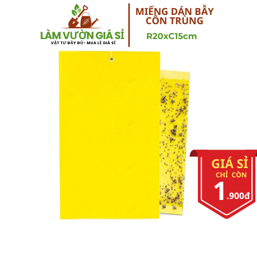 Miếng Dán Bẫy Côn Trùng R20xC15cm, 2 Mặt, Hiệu Quả, Tiết Kiệm Chi Phí, Dễ Sử Dụng