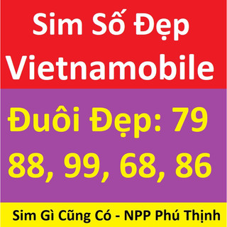 Sim năm sinh vietnamobile 1970 đến 2024. (Bảng 155N.1)