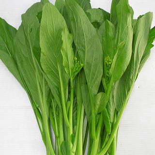 20Gr Hạt Giống Cải Ngọt (A3.301| G1*W24*M121)