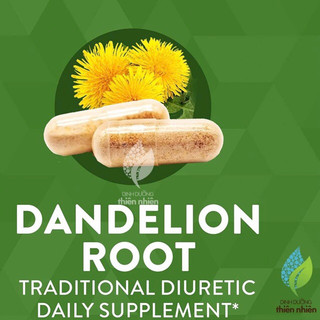 Rễ Bồ Công Anh Nature's Way Dandelion Root, 100v