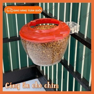 Combo 10 Cóng ăn uống cho chim chào mào,chích chòe, yến hót - Chất liệu nhựa