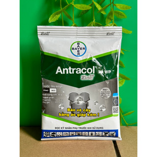 Thuốc trừ nấm bệnh hoa hồng, hoa lan, cây kiểng, cây trồng Antracol 70WP 100gr