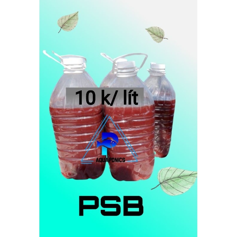 1 Lít. VI SINH KHUẨN QUANG HỢP.TRONG NƯỚC.KHỎE CÁ