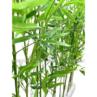 Cây trúc giả - tre giả 1m2- 2m (Giá 1 cây) đặt từ 5 cây trở lên